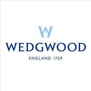 Wedgwood Gio Theekop en -schotel 0,26 liter