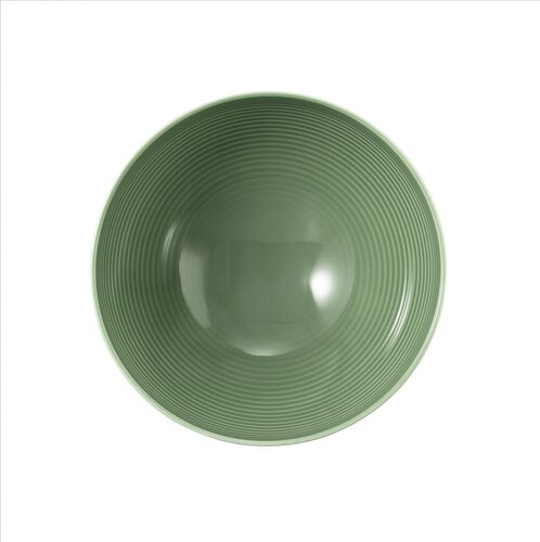 seltmann beat forrest bowl 15,5 cm boven
