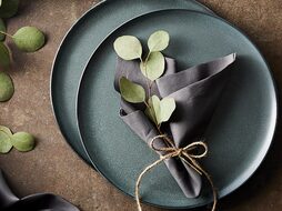 Aida Raw Northern Green servies
