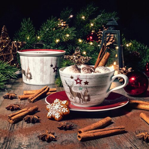 Seltmann Life Christmas Kop en Schotel | OnlineServies.nl