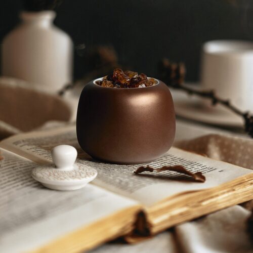 Seltmann Liberty Brons Koffiekop 0,26 liter (Online) kopen? | OnlineServies