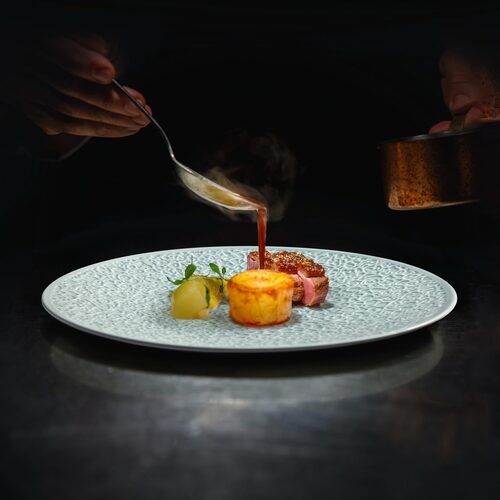 seltmann nori arctis blue sfeer 2