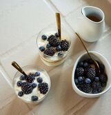 AIDA Raw Arctic White Organic Dessertschaal 12x10 cm | OnlineServies