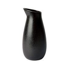 AIDA Raw Titanium Black Waterkan 1,2 liter (online) kopen? | OnlineServies.nl