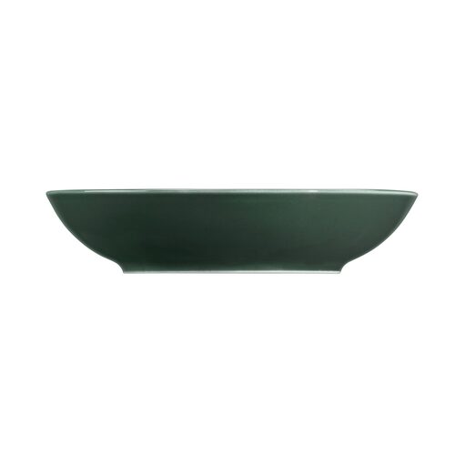 Seltmann Terra Mosgroen Diep bord 21 cm (online) kopen? | OnlineServies.nl