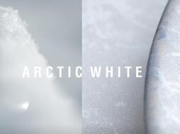 aida raw arctic white kleur