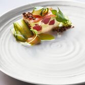 Seltmann Terra Uni Startset 12-delig (online) kopen? | OnlineServies.nl