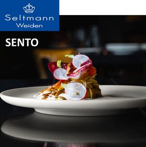 Seltmann Sento servies (online) kopen? | OnlineServies.nl