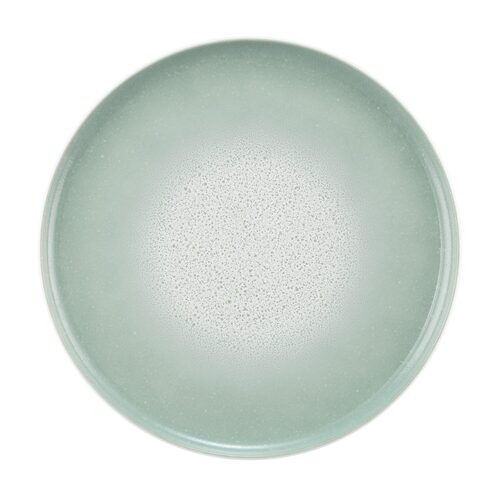 Seltmann Sento Home Aura Mint Dinerbord 27 cm (online) kopen? | OnlineServies.nl