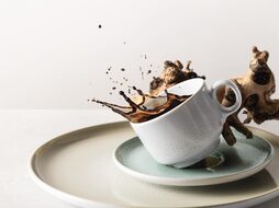 seltmann sento home aura white 24-delig koffie