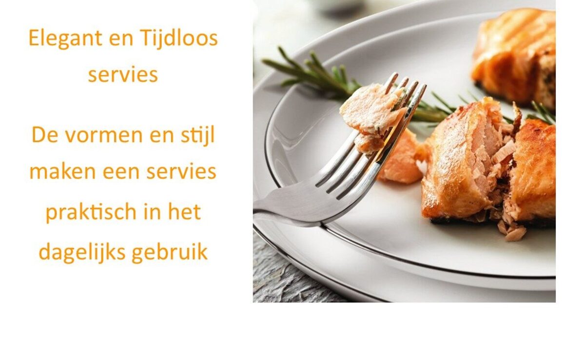 Seltmann Lido black line servies
