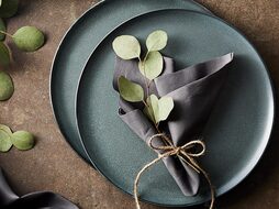 aida raw northern green dinerbord sfeer  - kopie (2022_03_23 14_13_21 UTC) (2022_03_23 15_21_22 UTC)