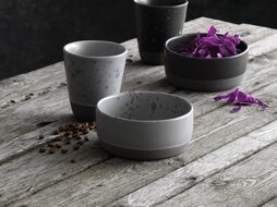 Aida RAW servies (online) kopen? OnlineServies de RAW specialist!